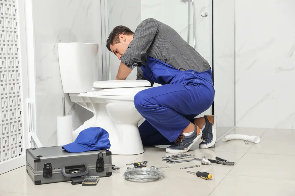 Toilet Installation in Fellows